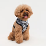 The Wagster Harness