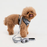 The Wagster Leash