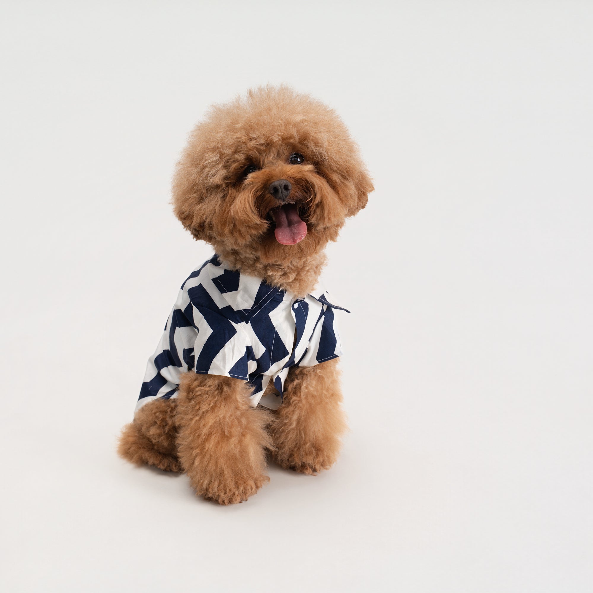 The Chevron Chic Shirt
