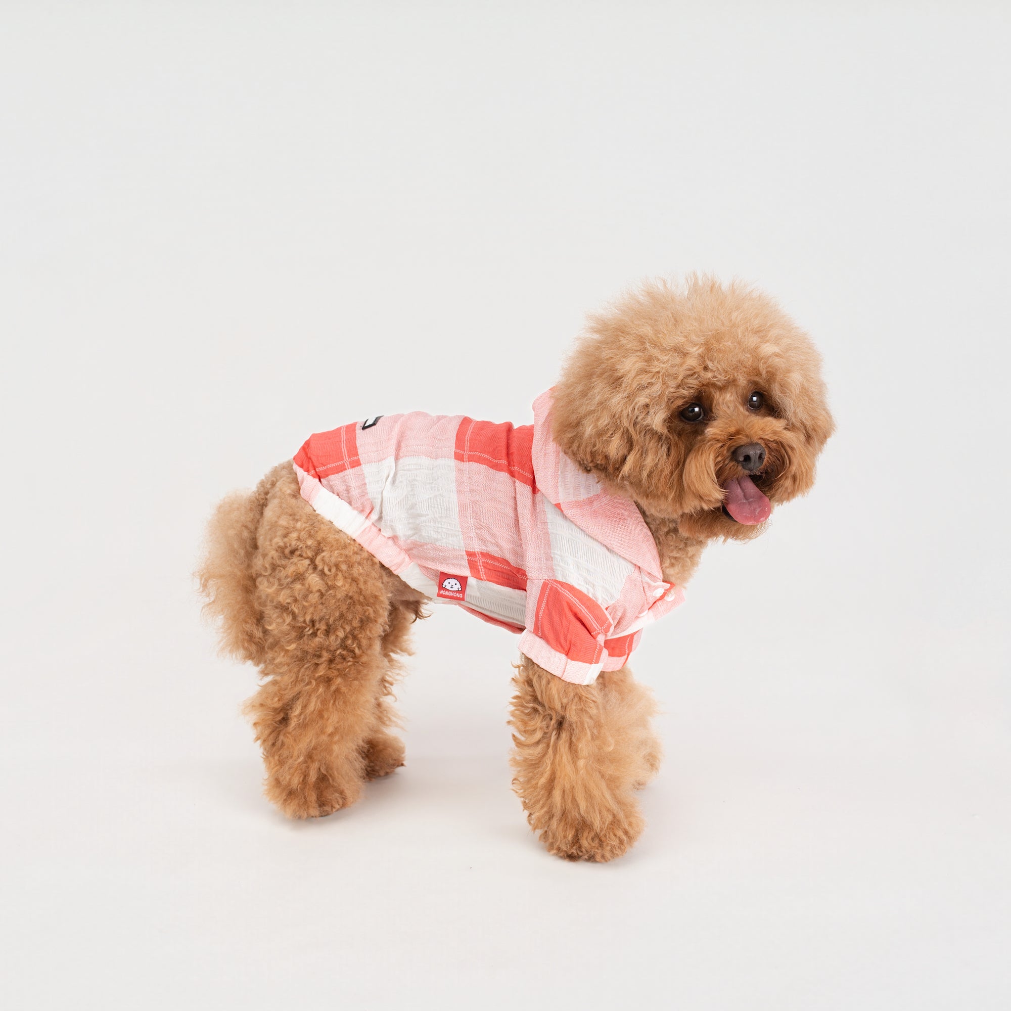 The Check Hoodie
