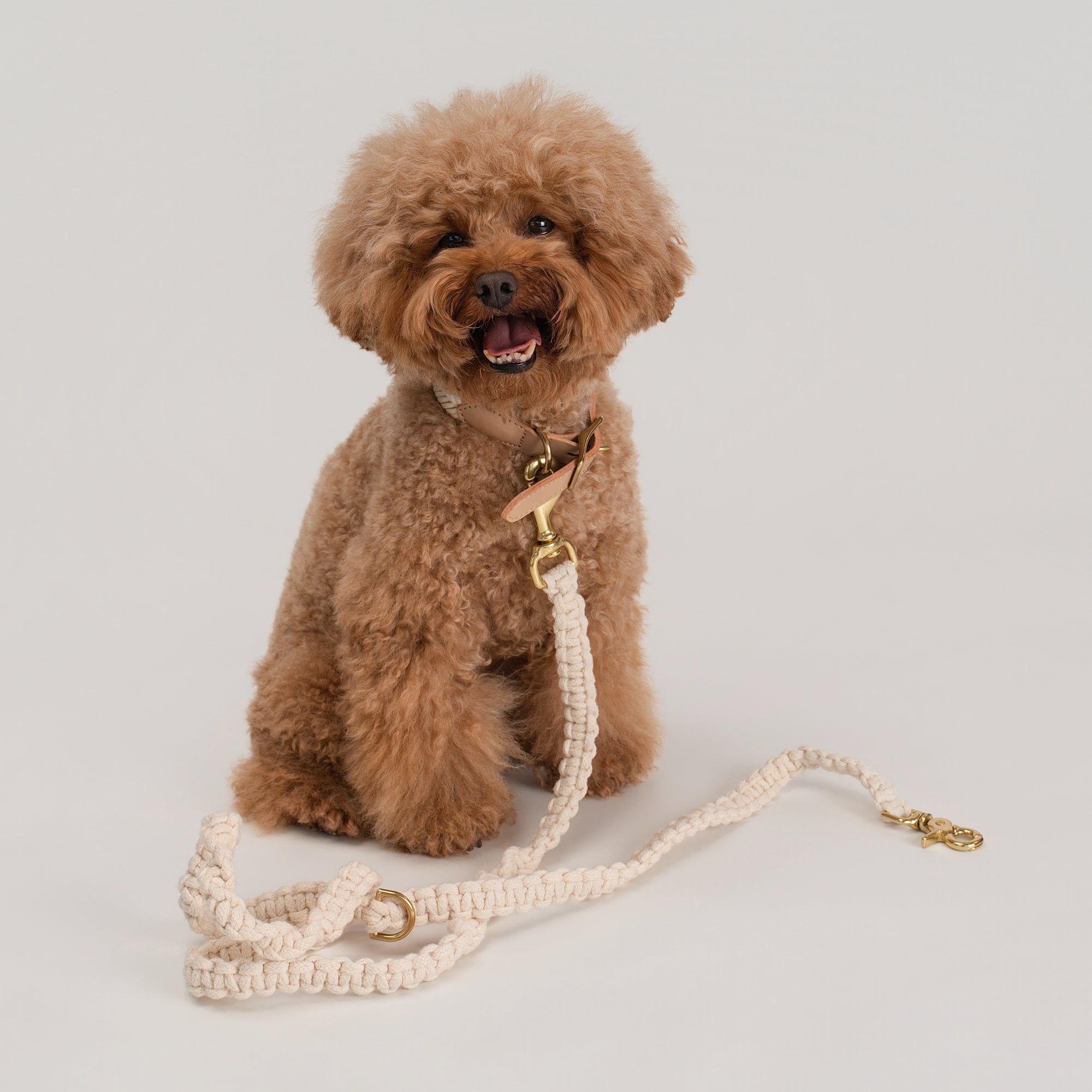Choco’s Knot Duo - Sand