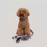 The Pop Pup Play Pack