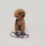 The Pop Pup Leash