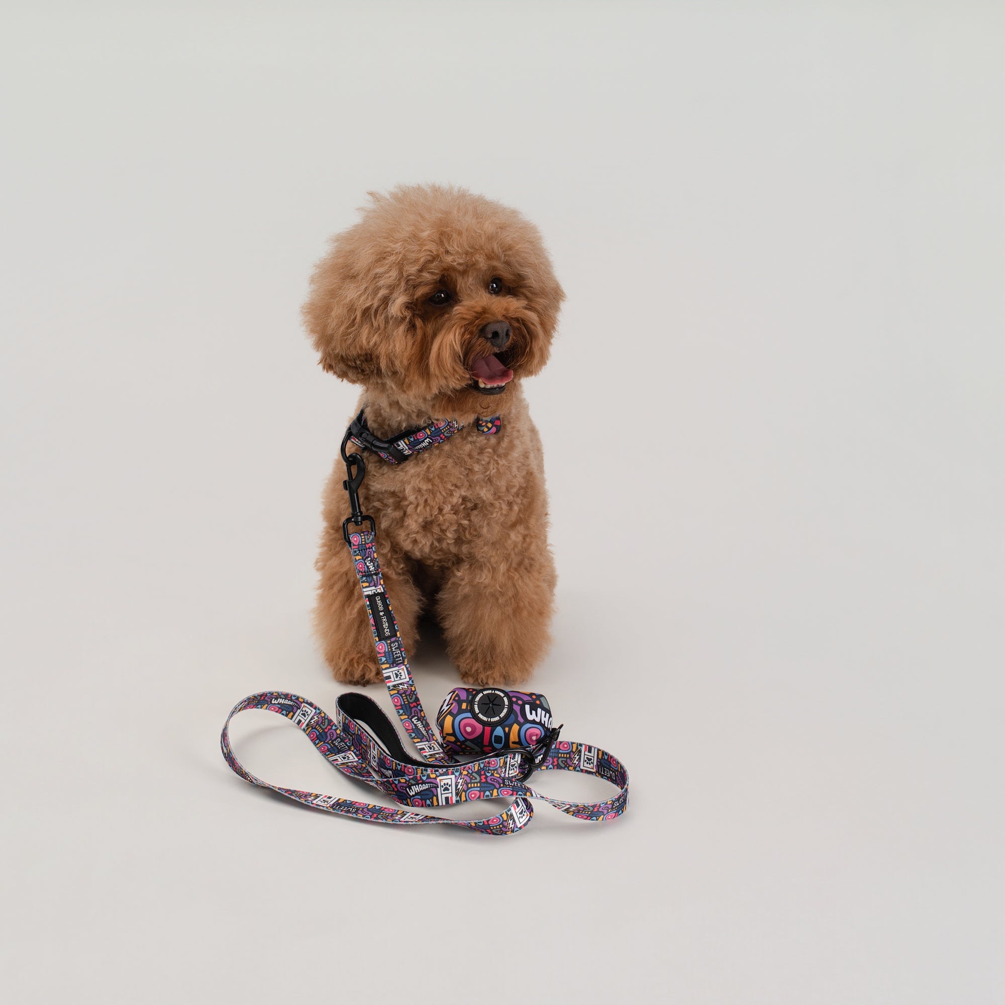 The Pop Pup Leash