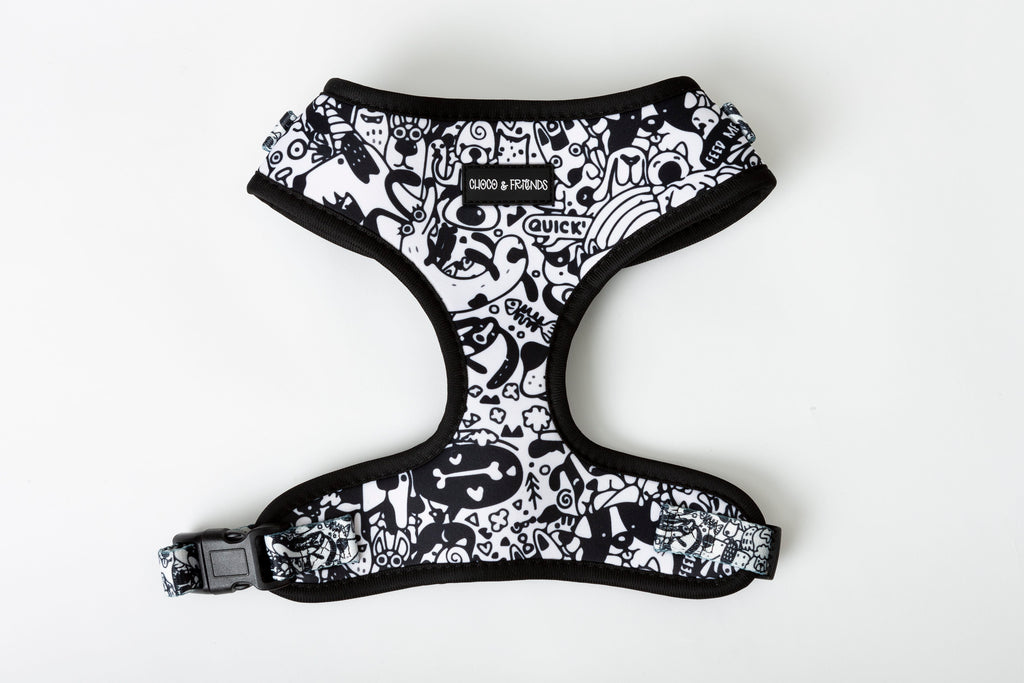 The Wagster Harness