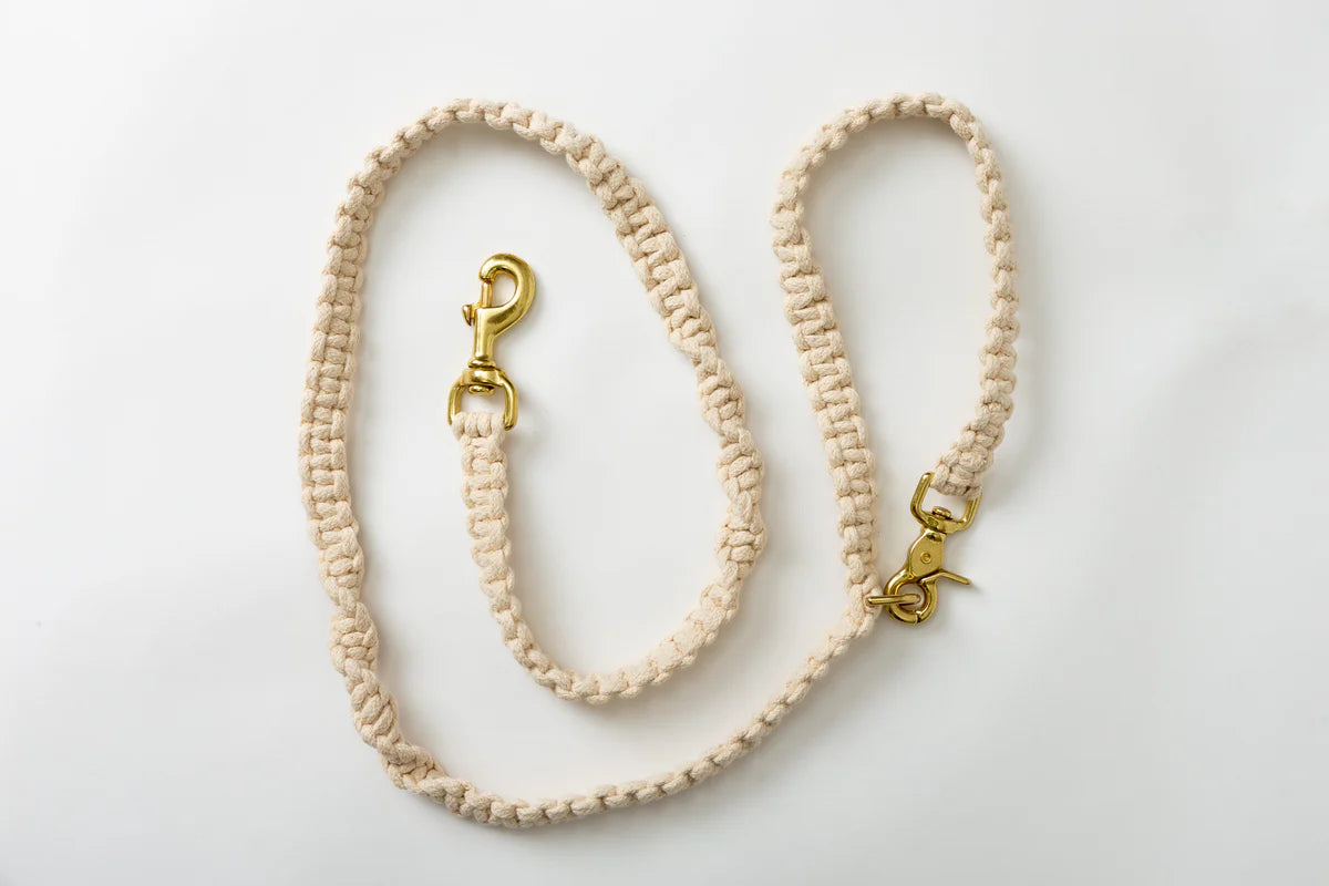 Choco’s Knot Leash