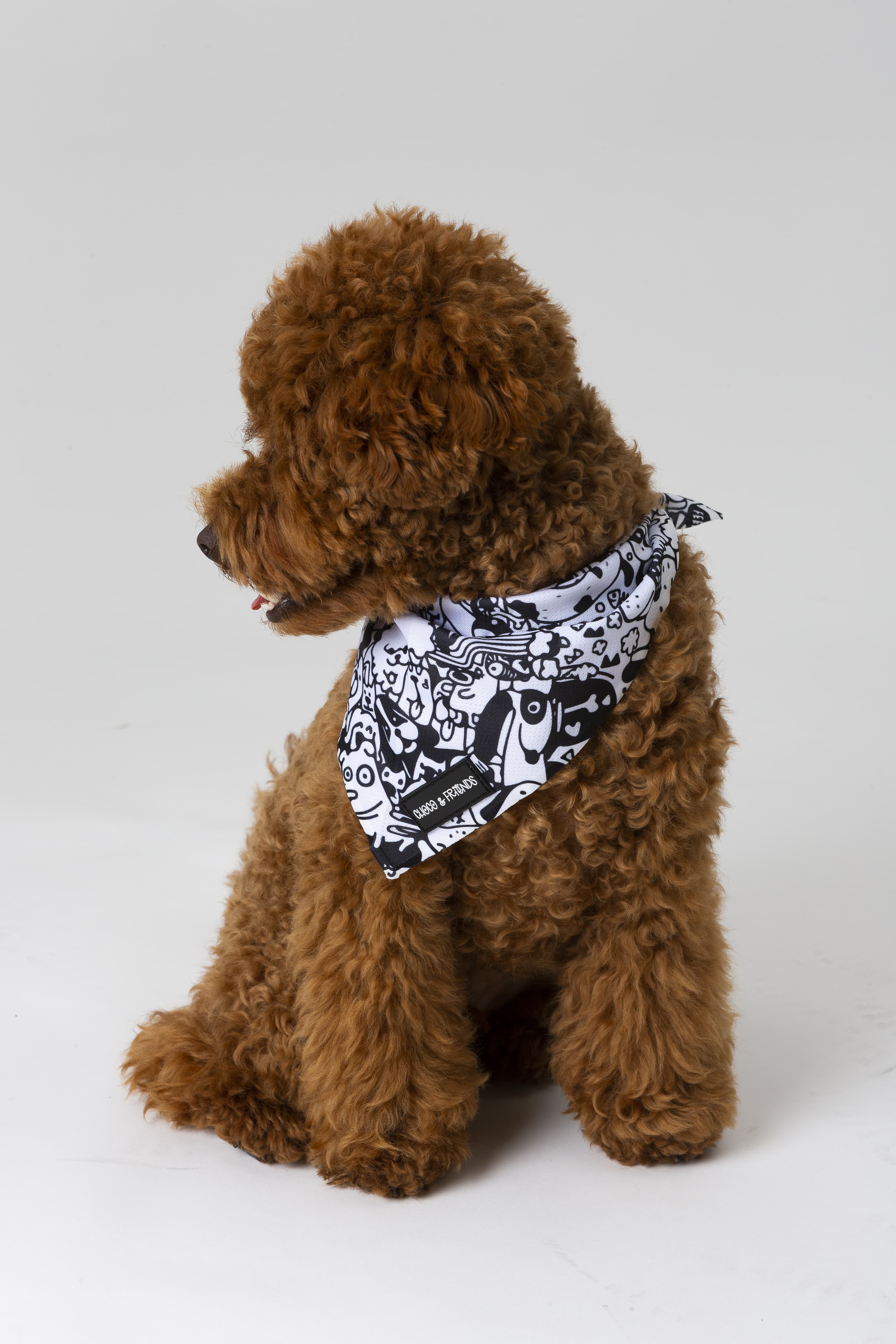 The Wagster Bandana