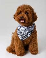 The Wagster Bandana