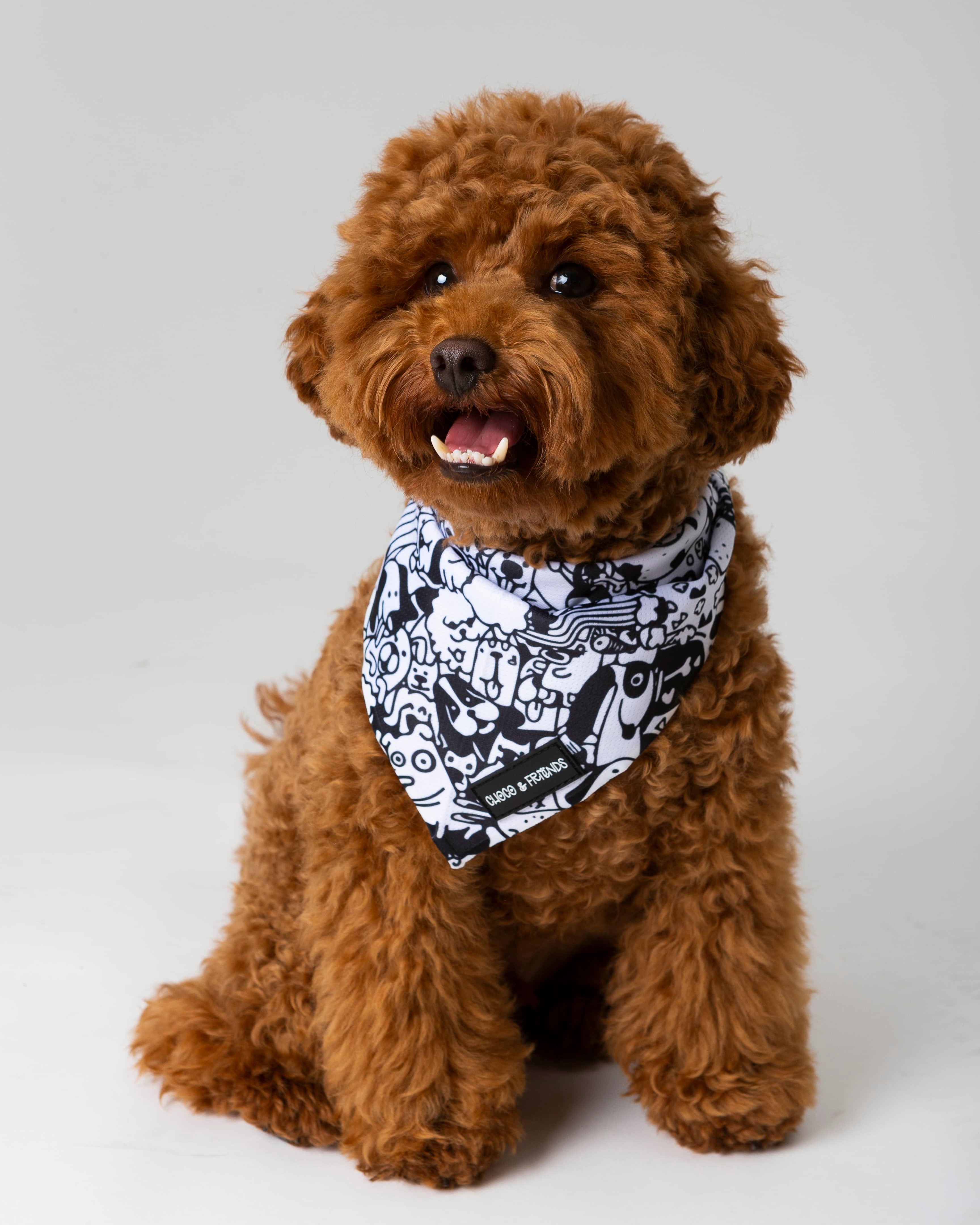 The Wagster Bandana