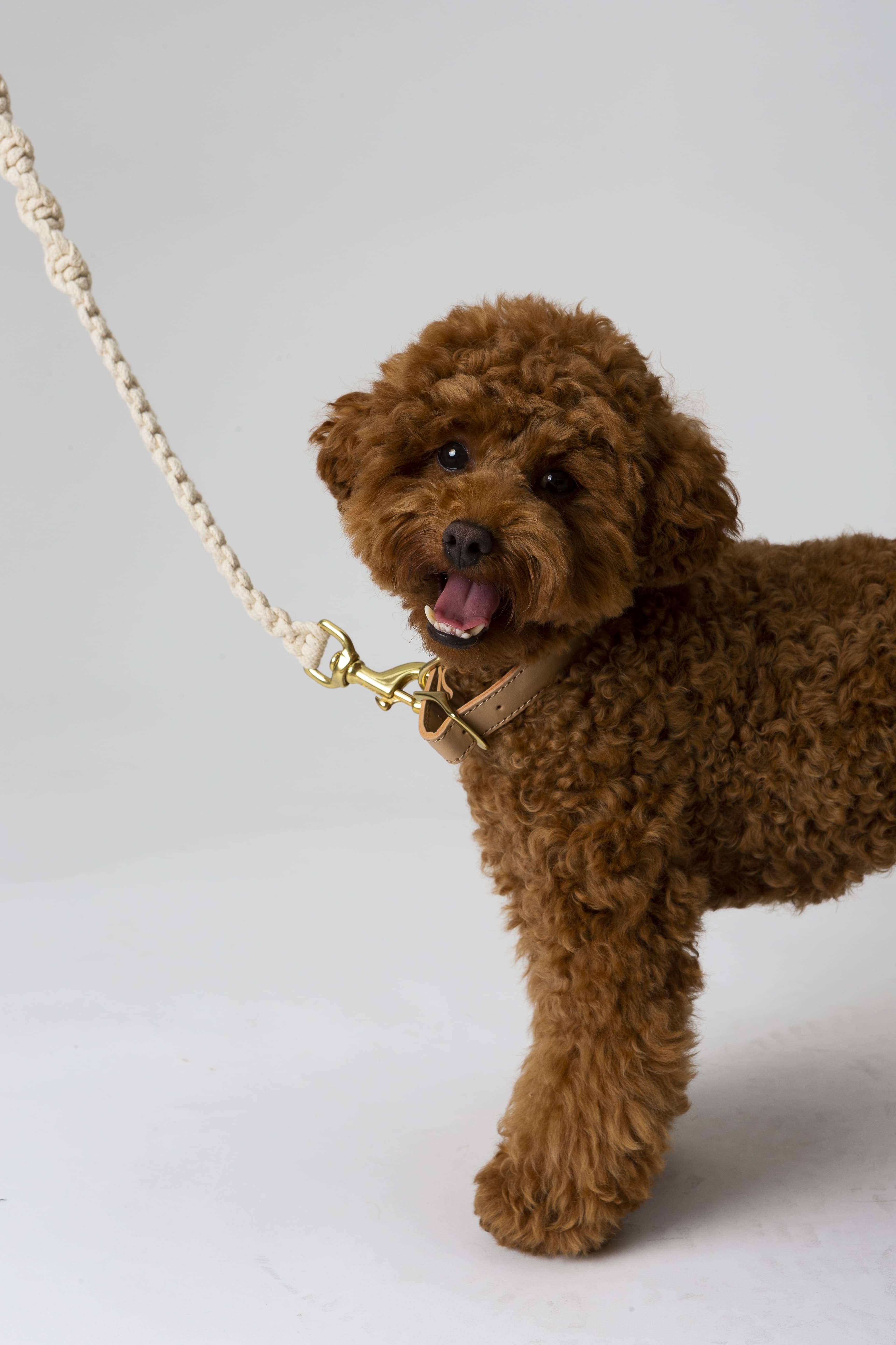 Choco’s Knot Duo - Sand