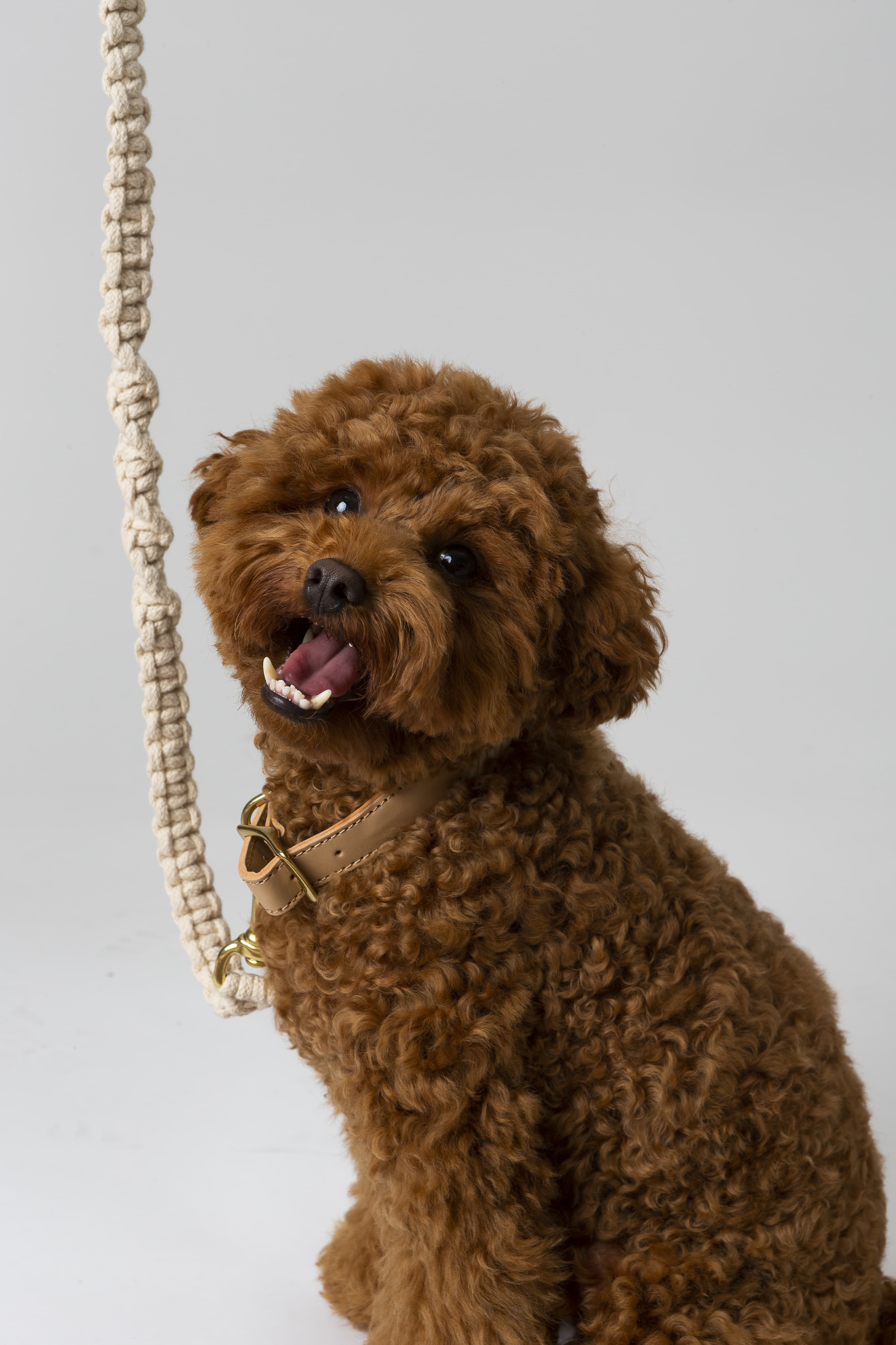 Choco’s Knot Duo - Sand