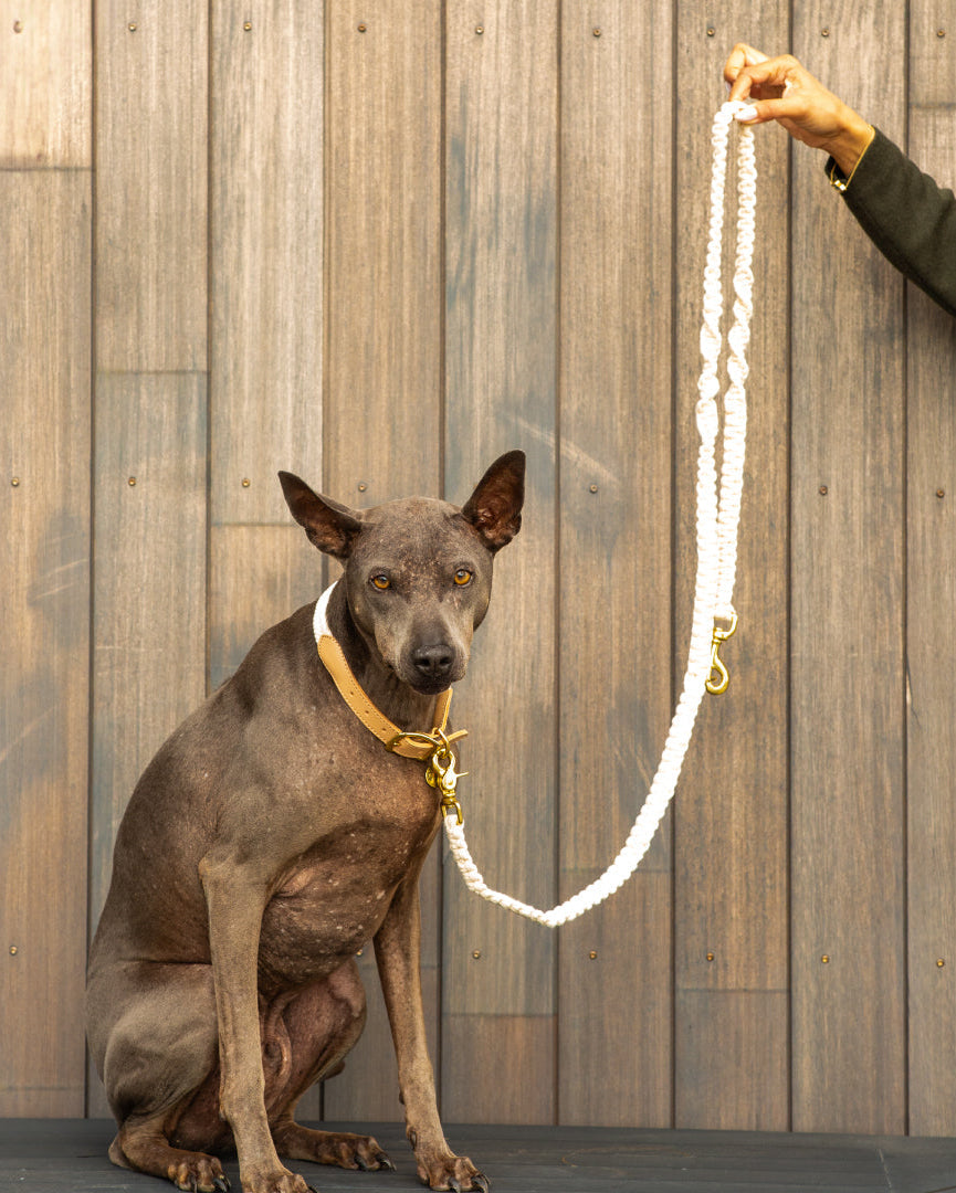 Choco’s Knot Duo - Sand