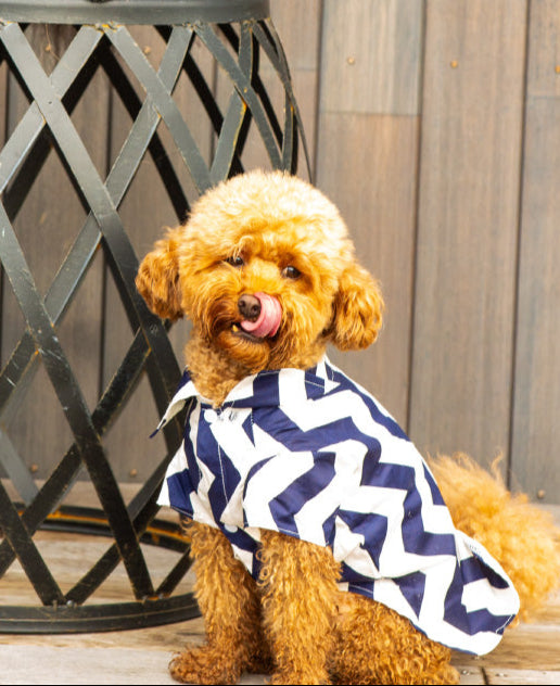 The Chevron Chic Shirt