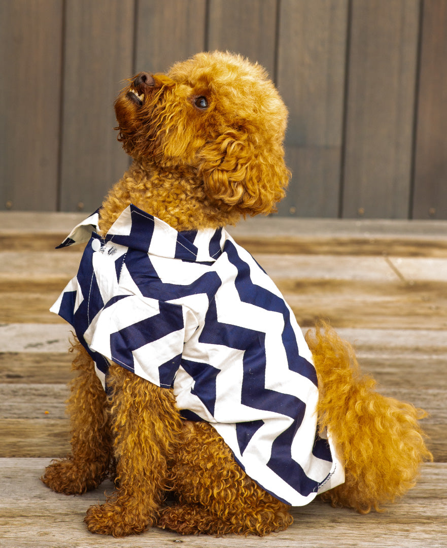 The Chevron Chic Shirt