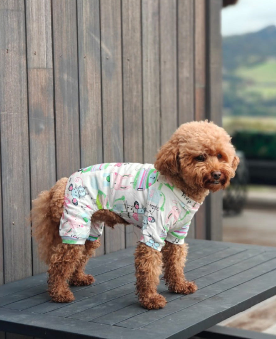 The Crayon Dreams Jammies