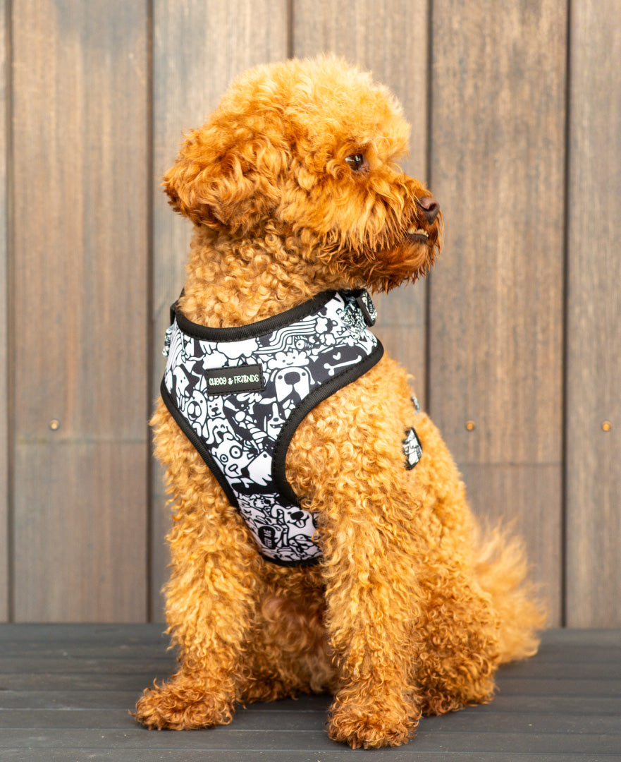 The Wagster Harness