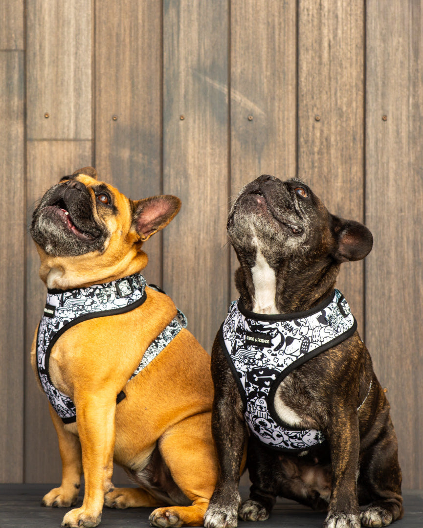 The Wagster Style Pack